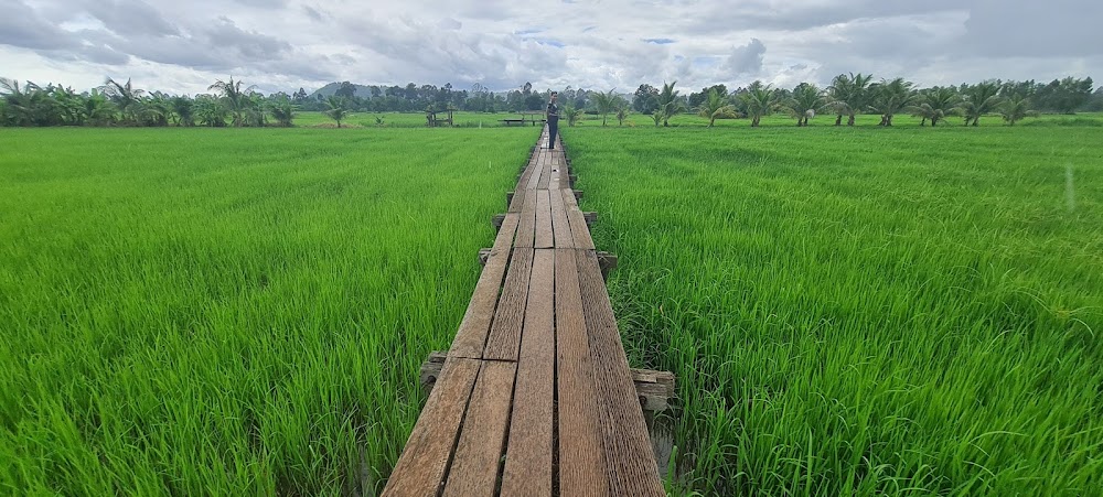 100 Years Old Wooden Bridge