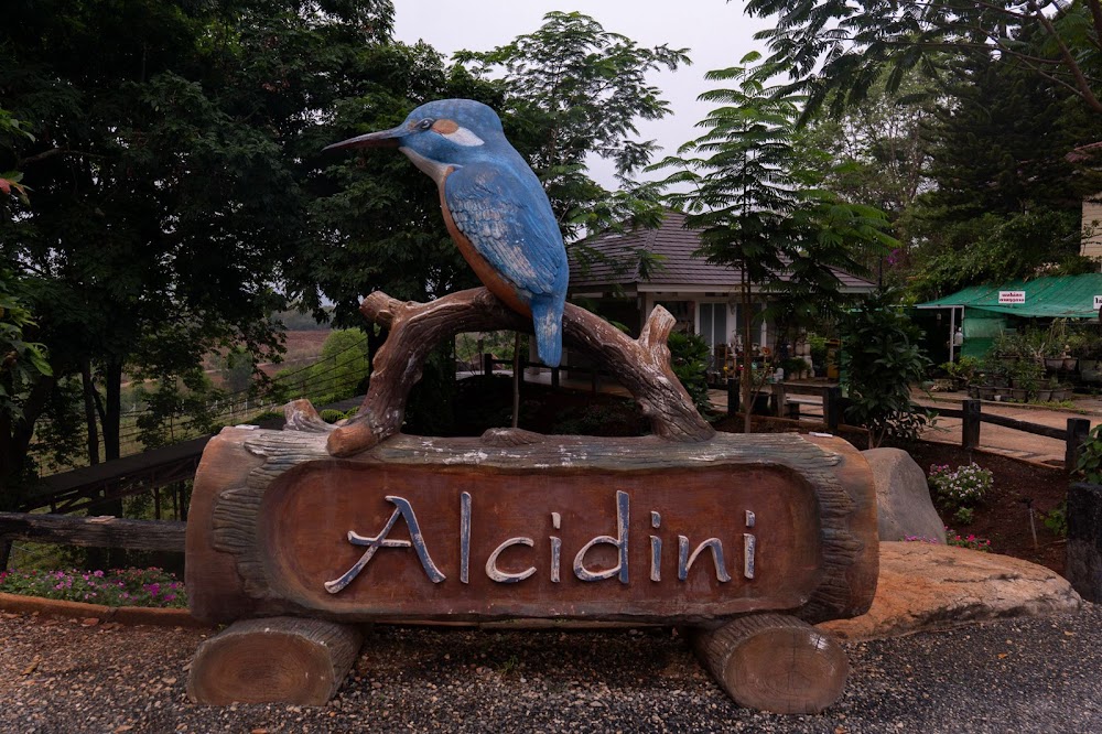 Alcidini Winery