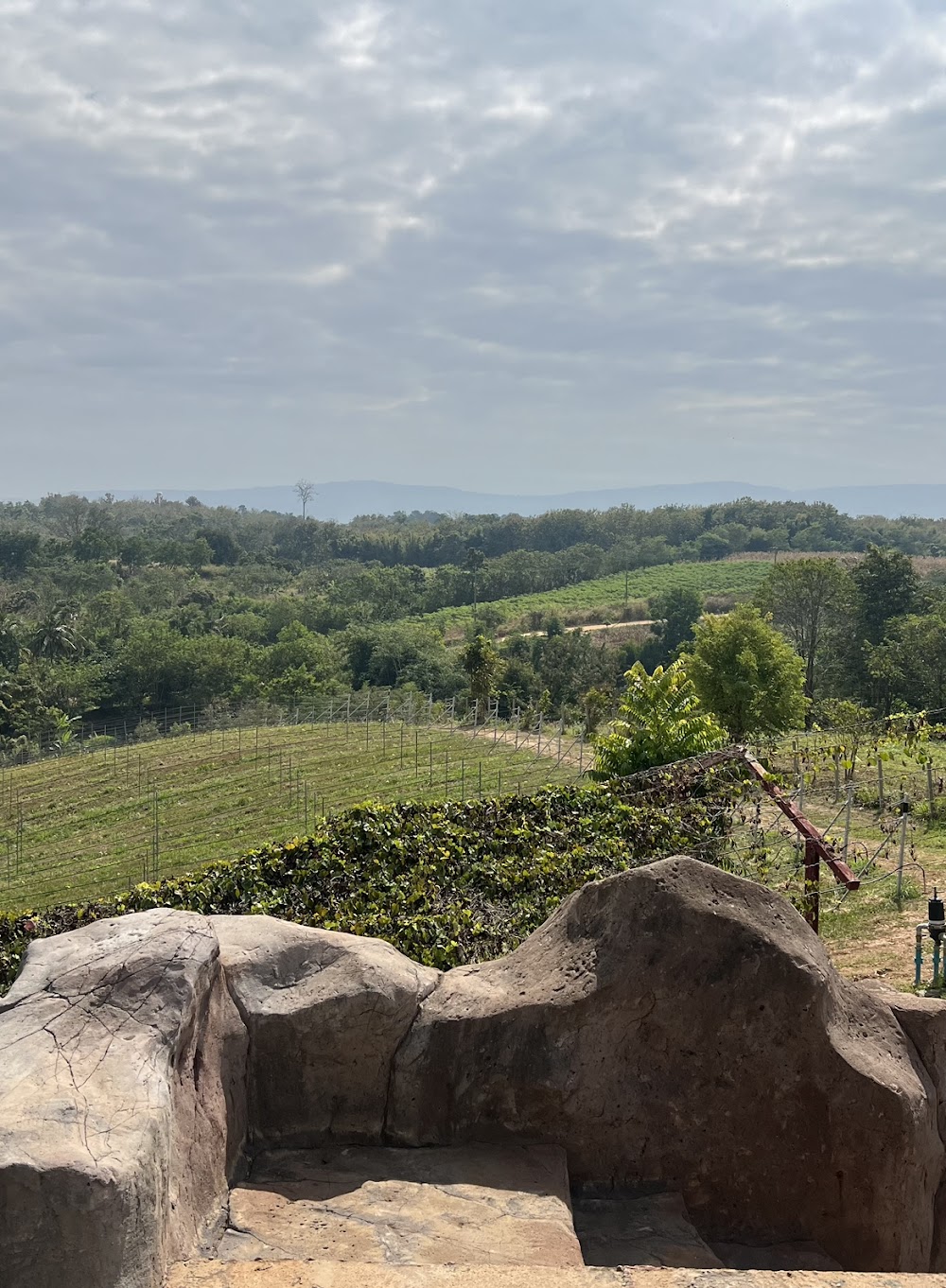 Alcidini Winery