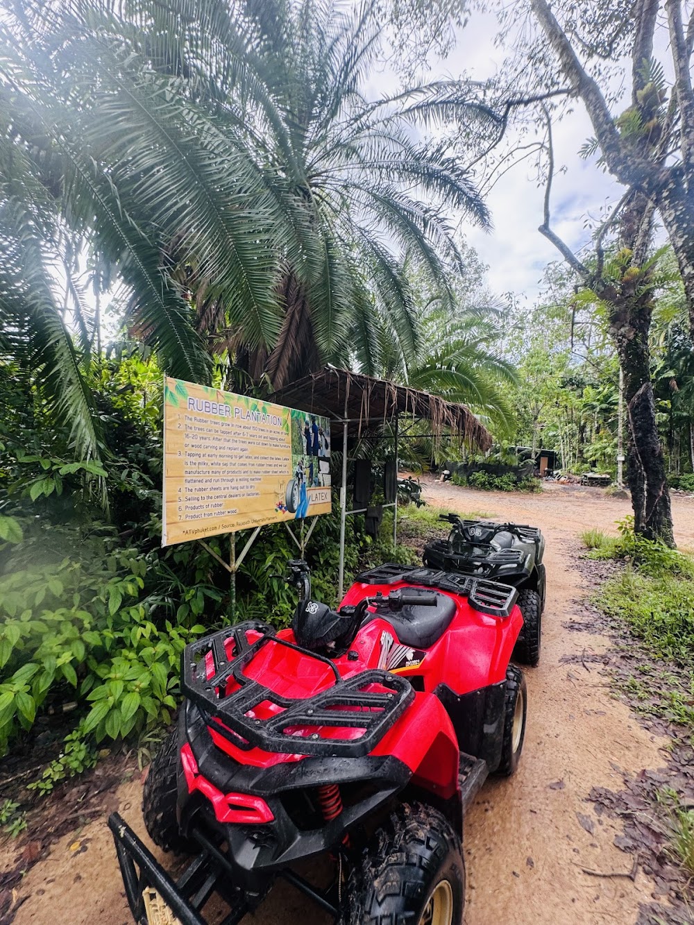 ATV Phuket Tours