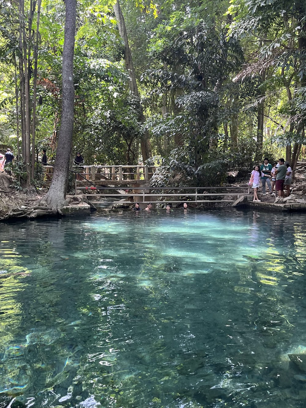 Ban Tha Chang Spring
