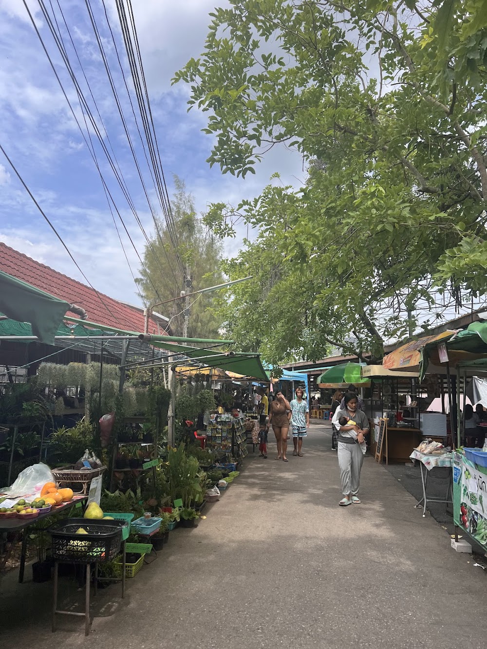 Bang Nam Phueng Floating Market