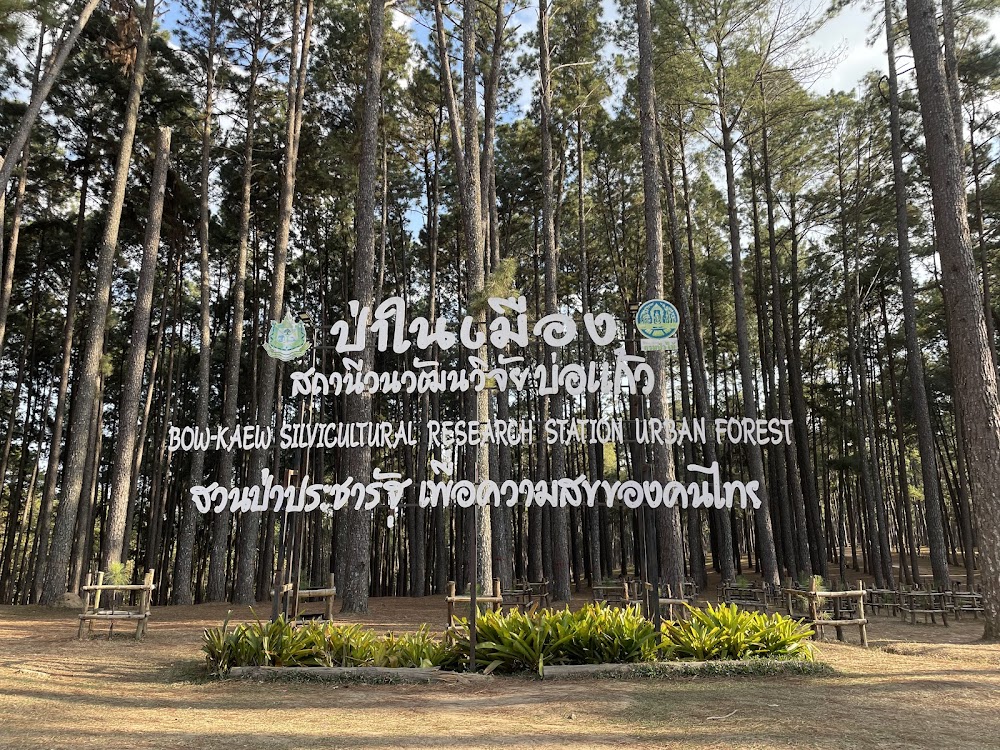 Bo Kaeo Pine Tree Garden