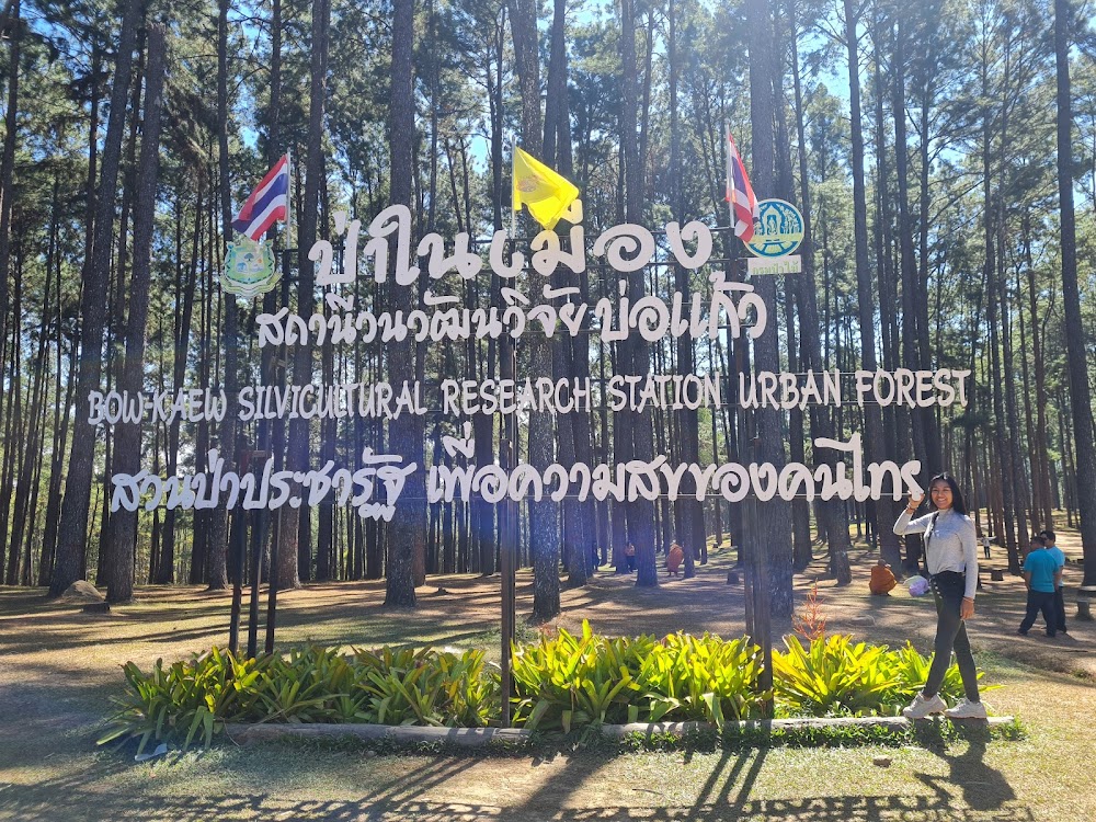 Bo Kaeo Pine Tree Garden