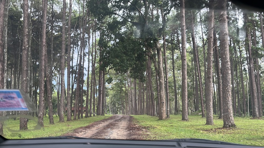 Bo Kaeo Pine Tree Garden