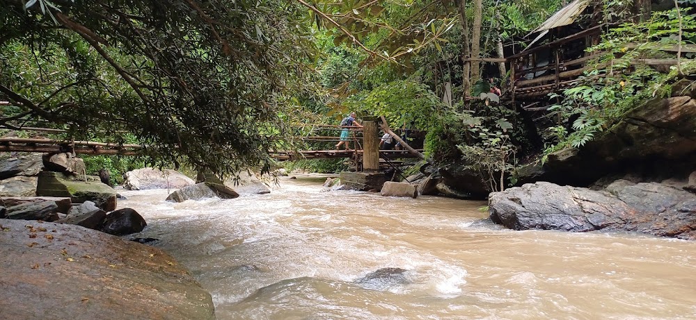 Chiangmai Elephant Home