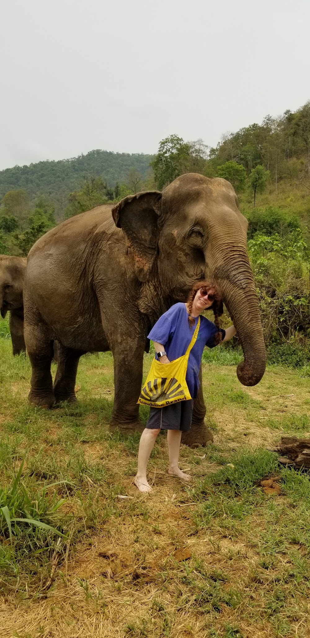 Chiangmai Mountain Sanctuary