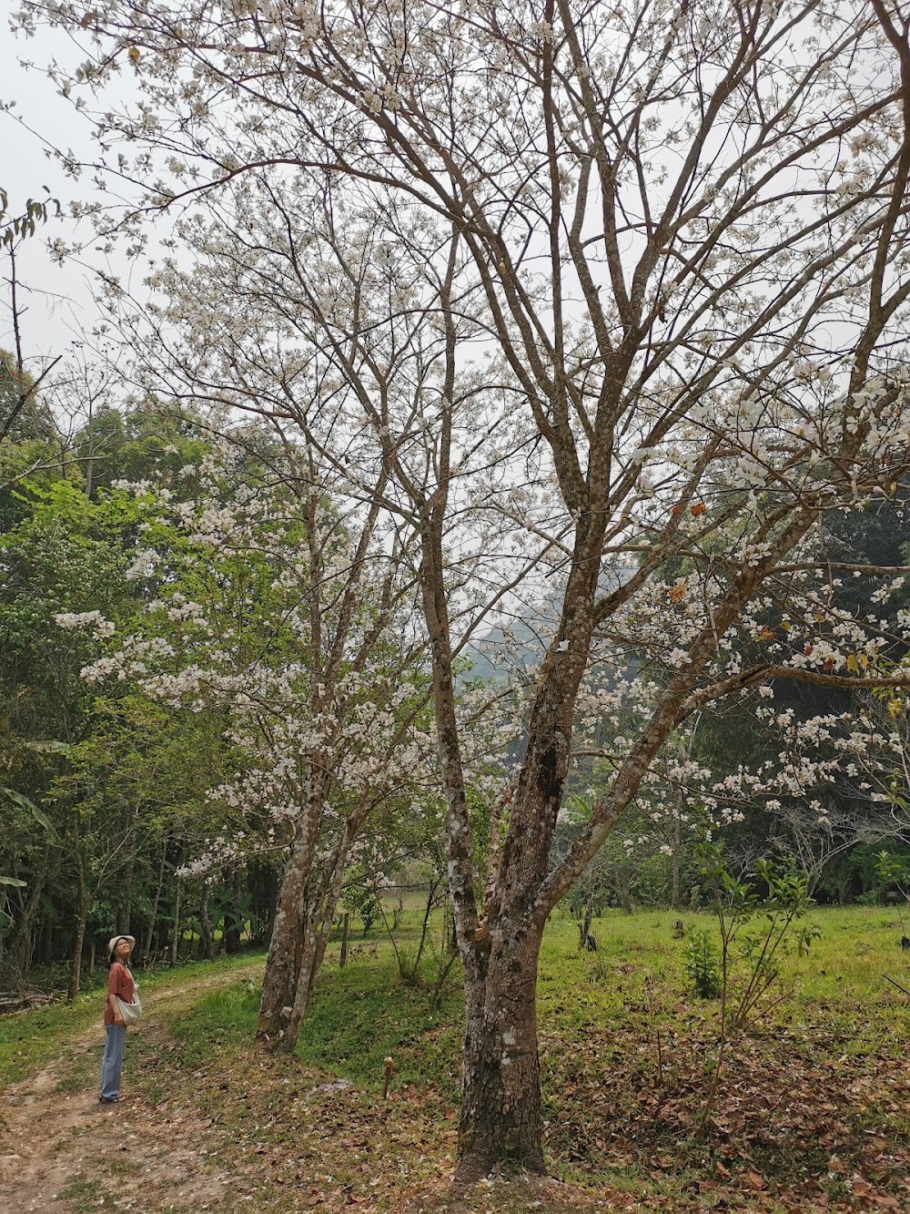 Chitsakon Agricultural Centre