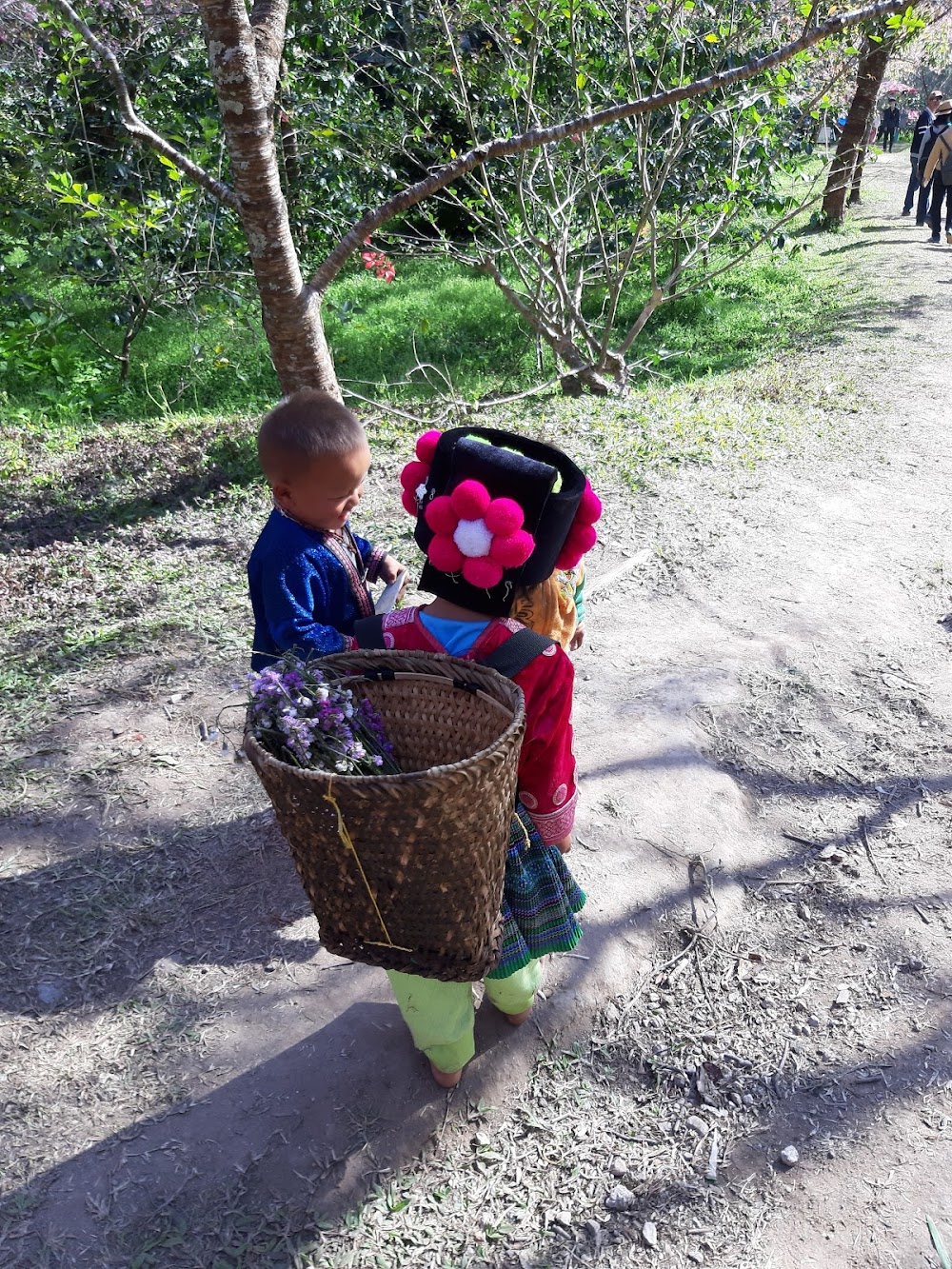Chitsakon Agricultural Centre
