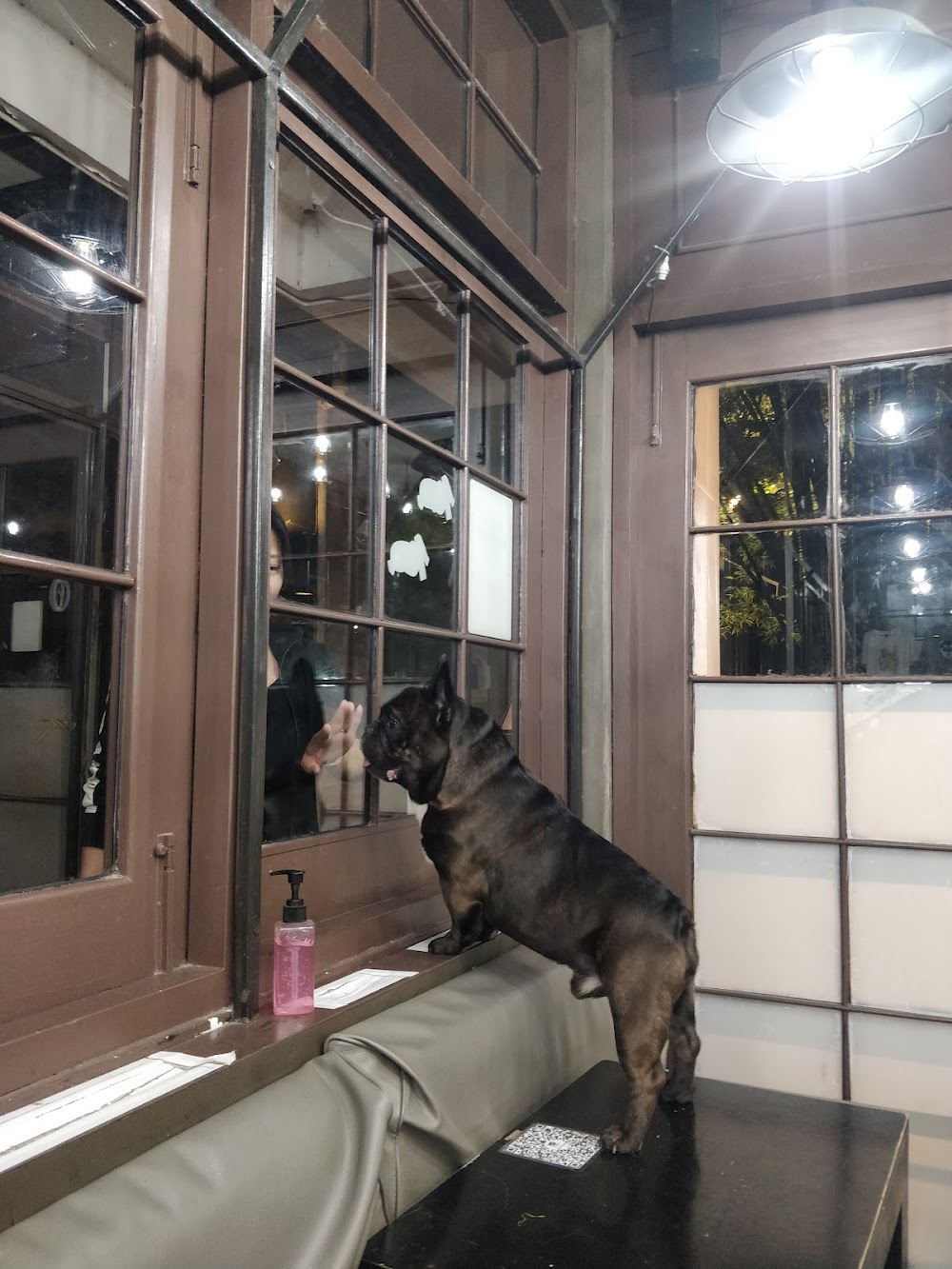 Dog in Town