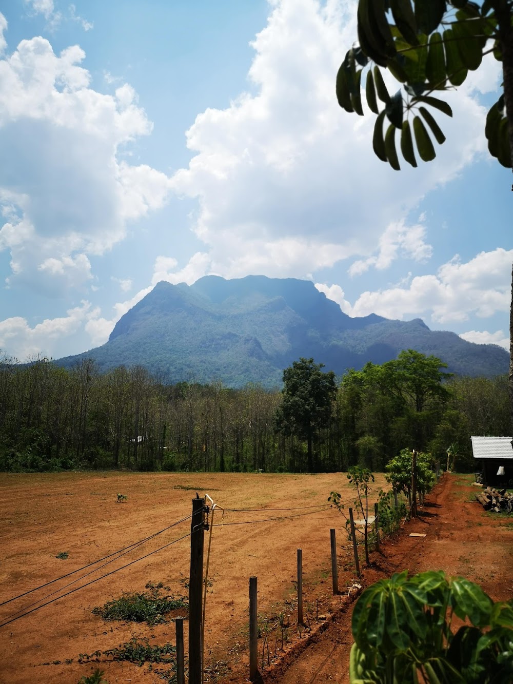 Doi Luang Chiang Dao