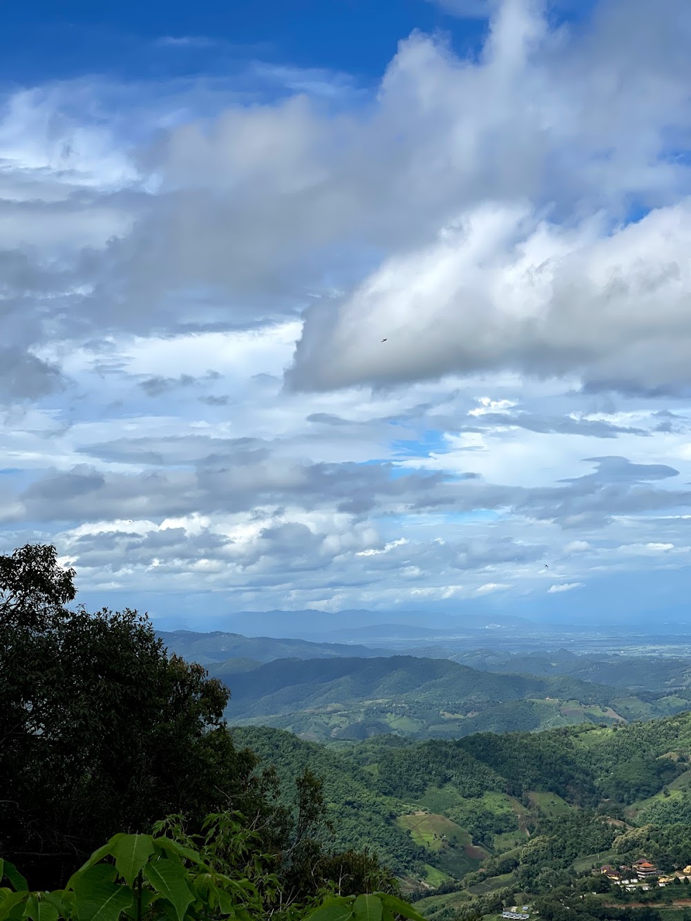 Doi Mae Salong