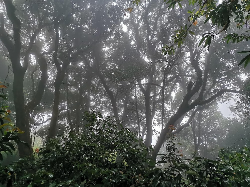 Doi Pha Hom Pok National Park
