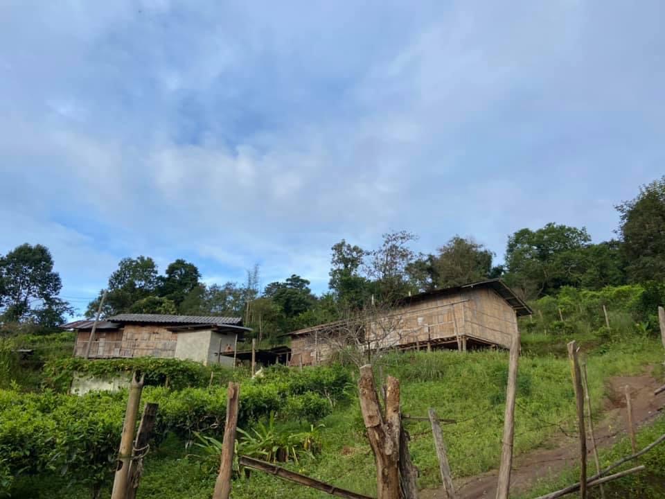 Doi Pu Muen