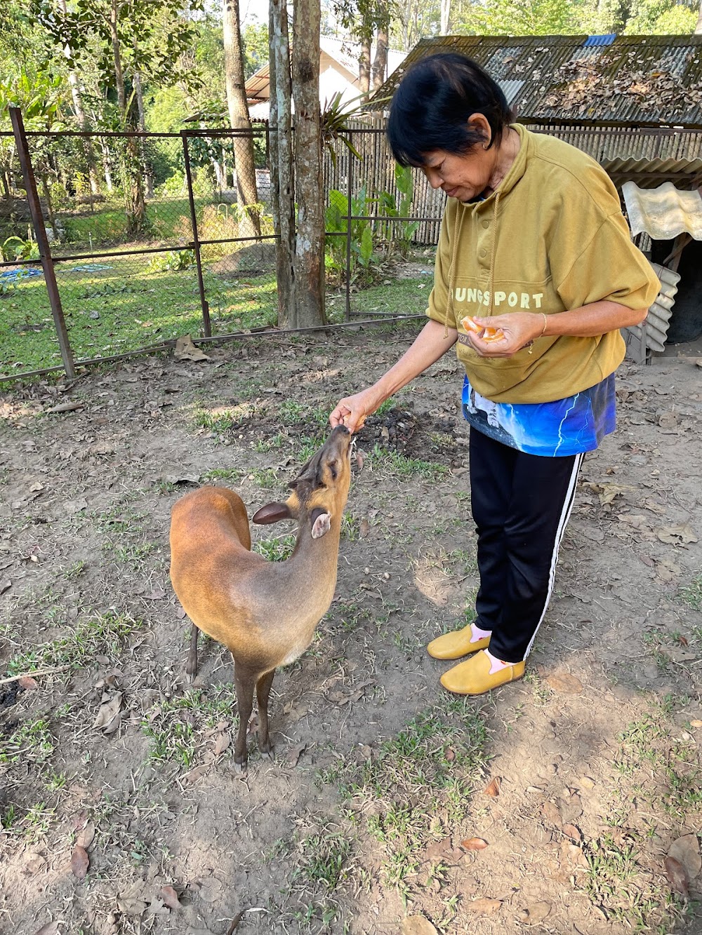 Doi Wiang Pha National Park