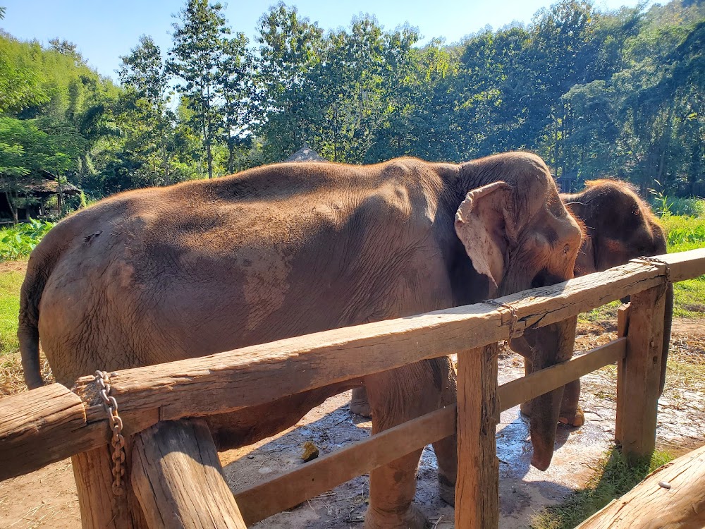 Elephant EcoValley