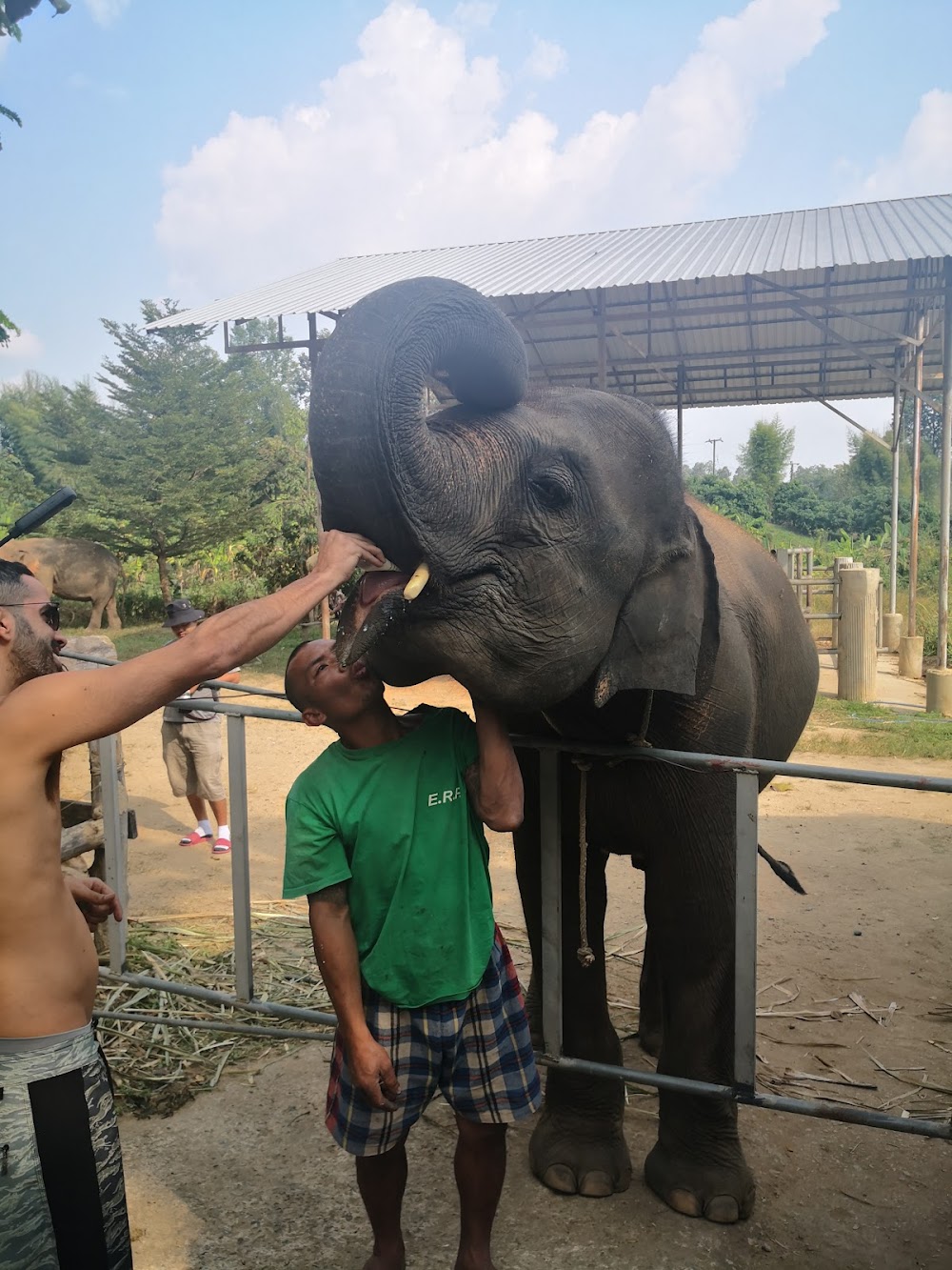 Elephant Retirement Park