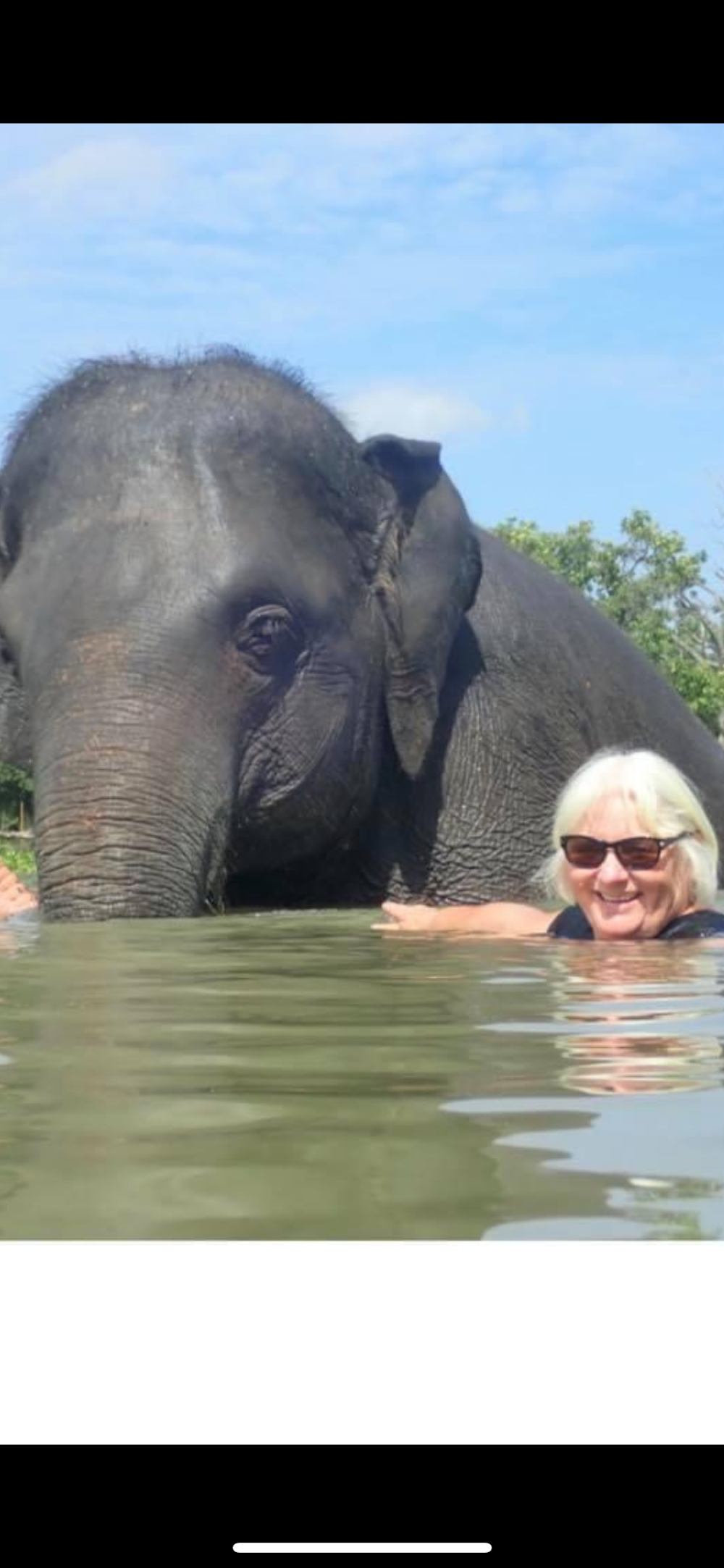 Elephantstay