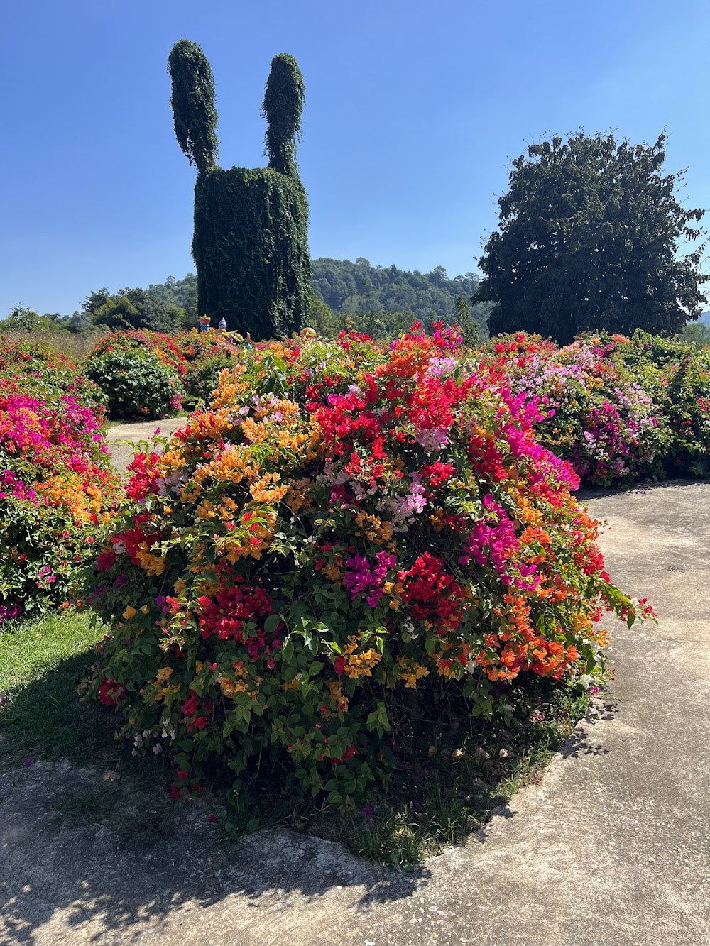 Flora Park