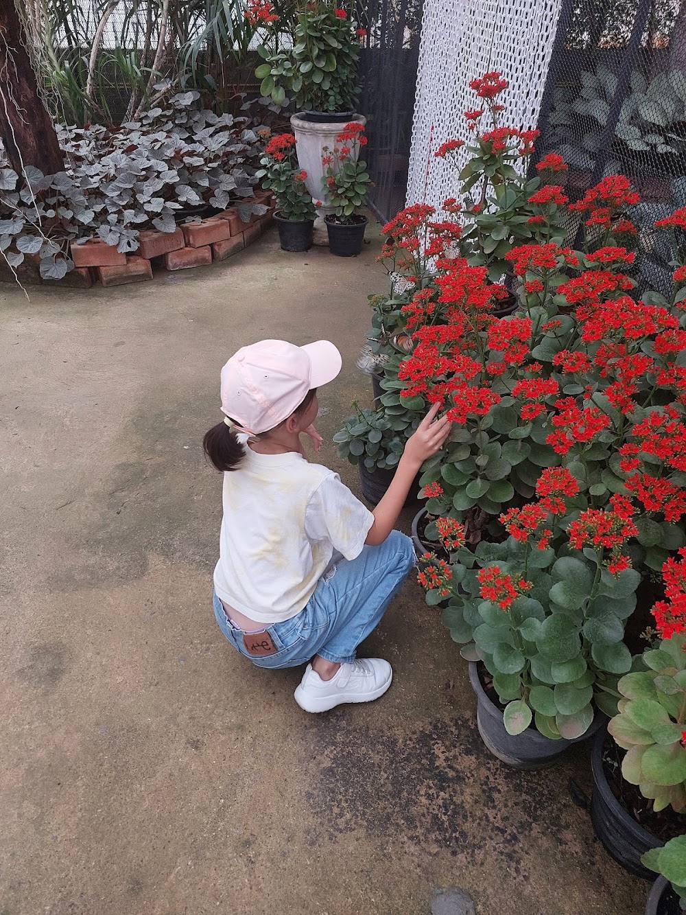 Flora Park