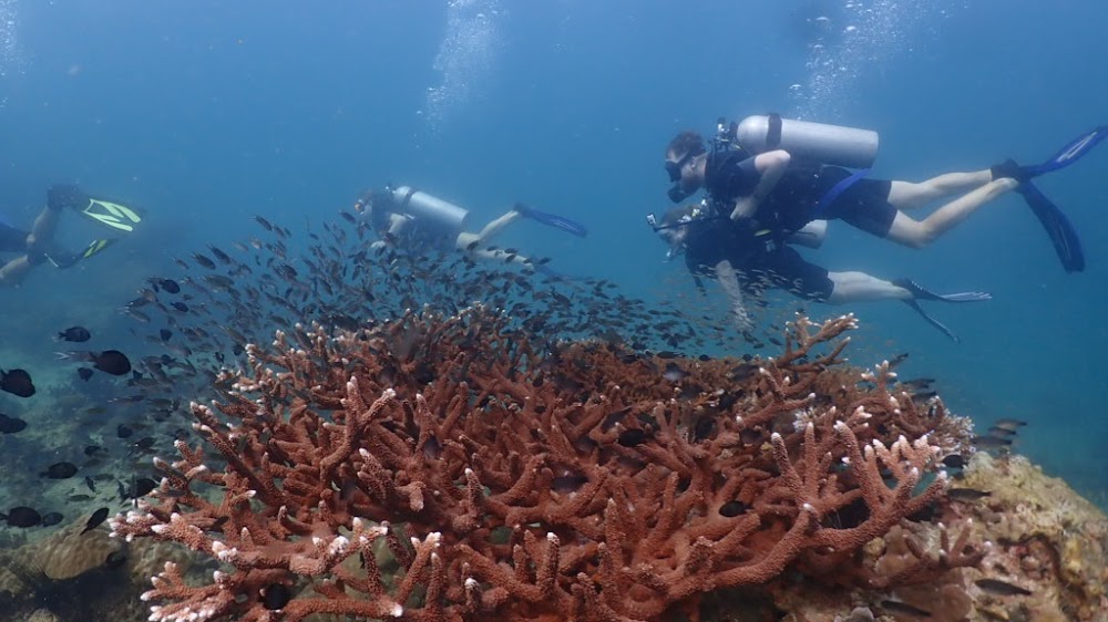 Hua Hin Divers – Day Classes