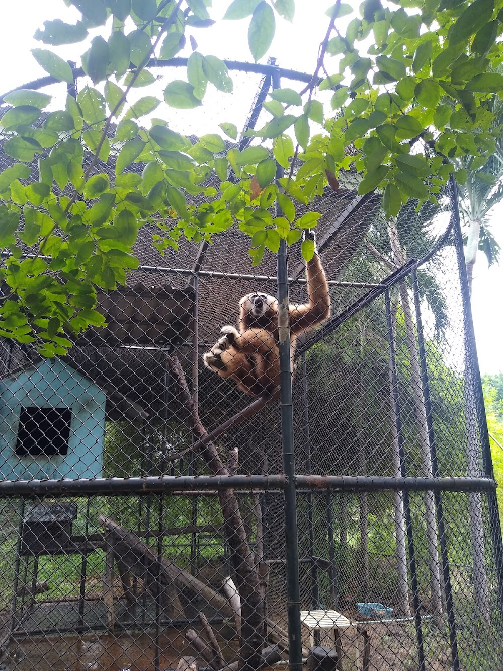 Huai Sai Wildlife Breeding Center