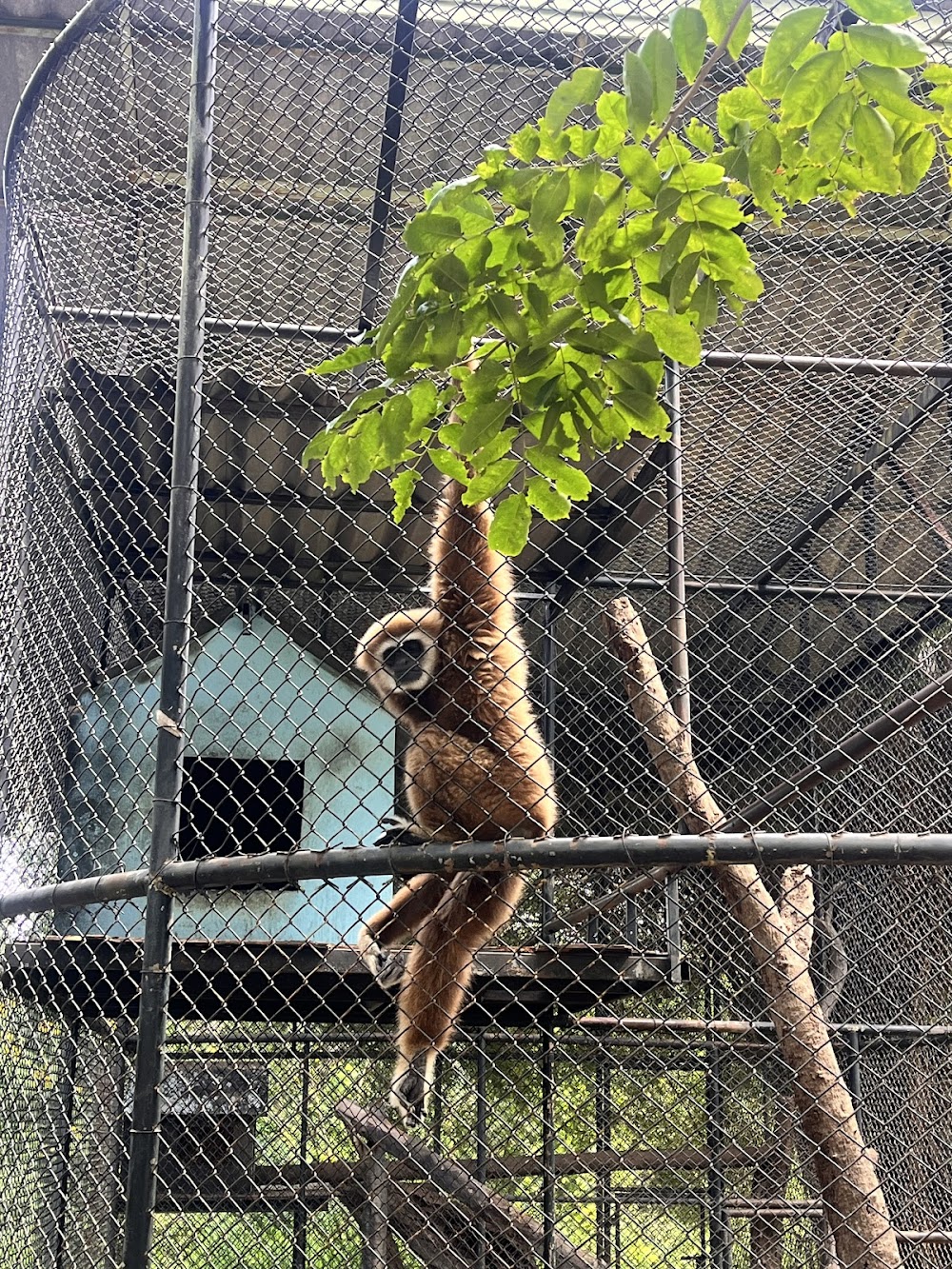 Huai Sai Wildlife Breeding Center