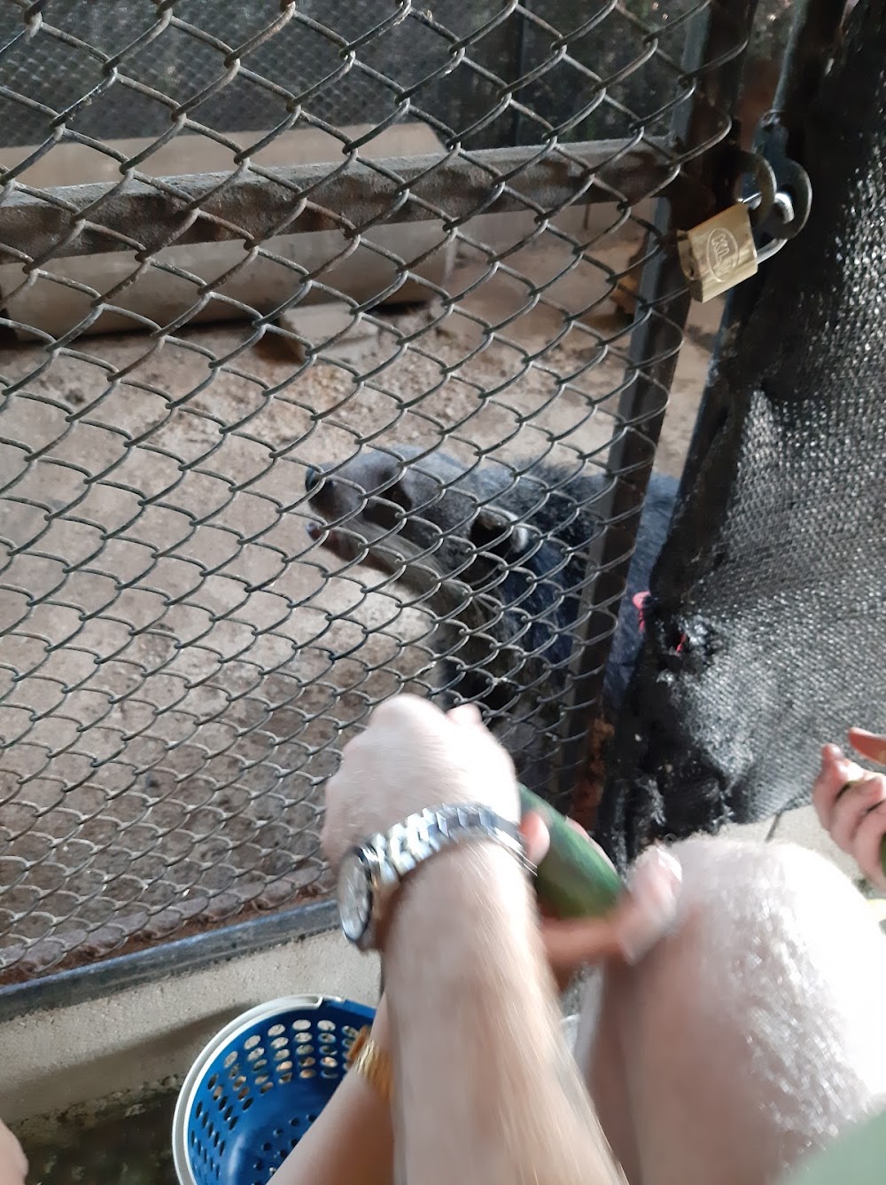 Huai Sai Wildlife Breeding Center