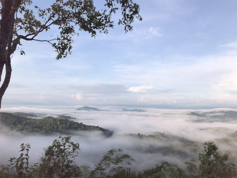 Huay Ton Hai