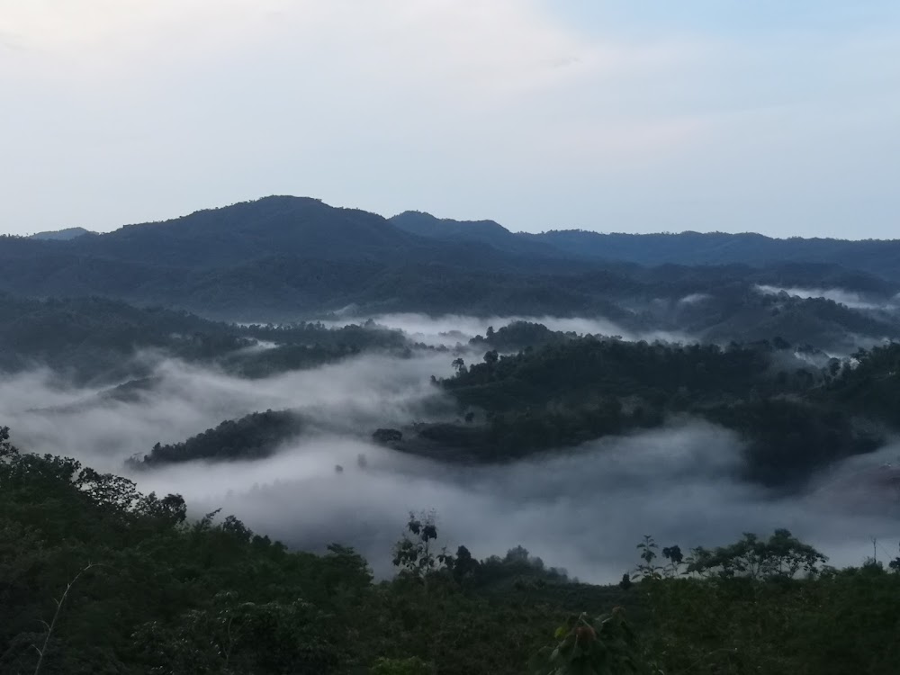 Huay Ton Hai