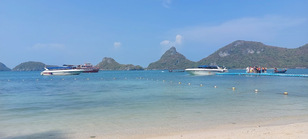 In Sea Speedboat