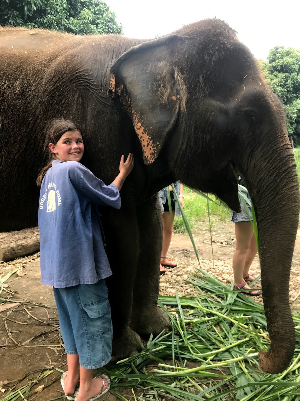 Kanjana Elephant Sanctuary