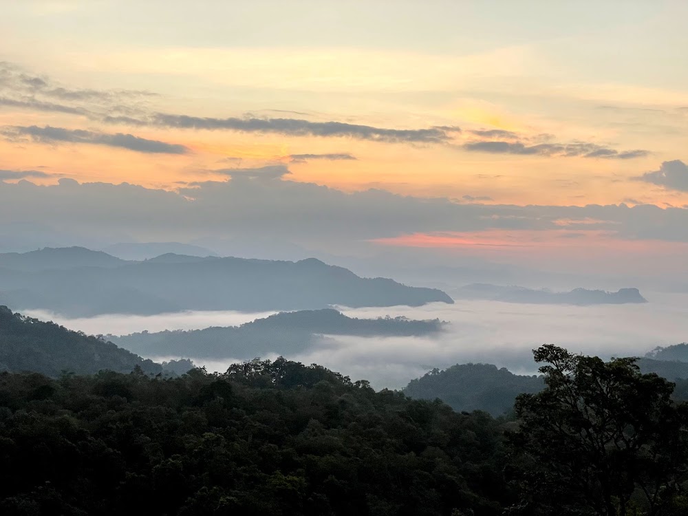 Kao Hua Mot