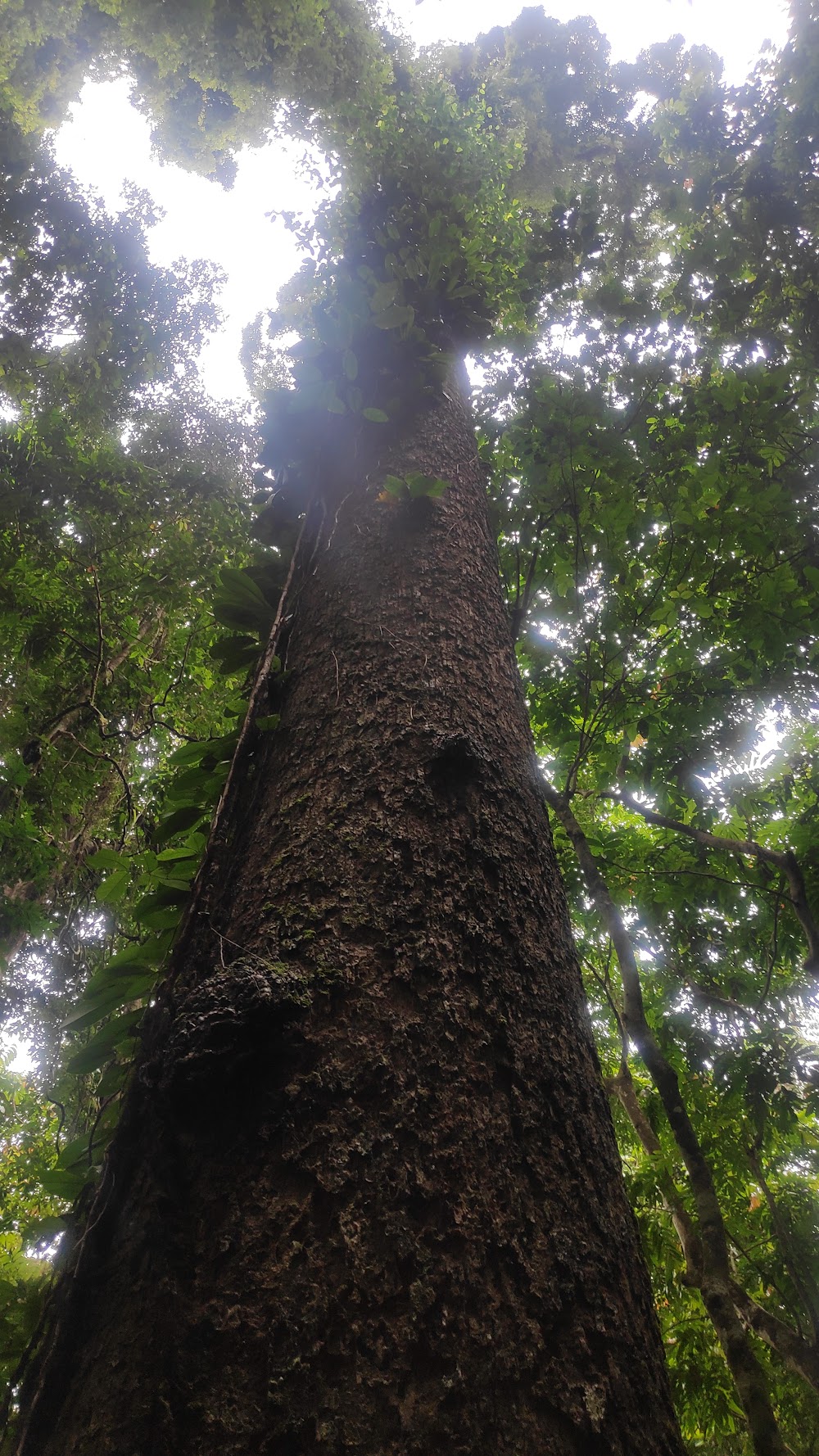 Khao Luang National Park
