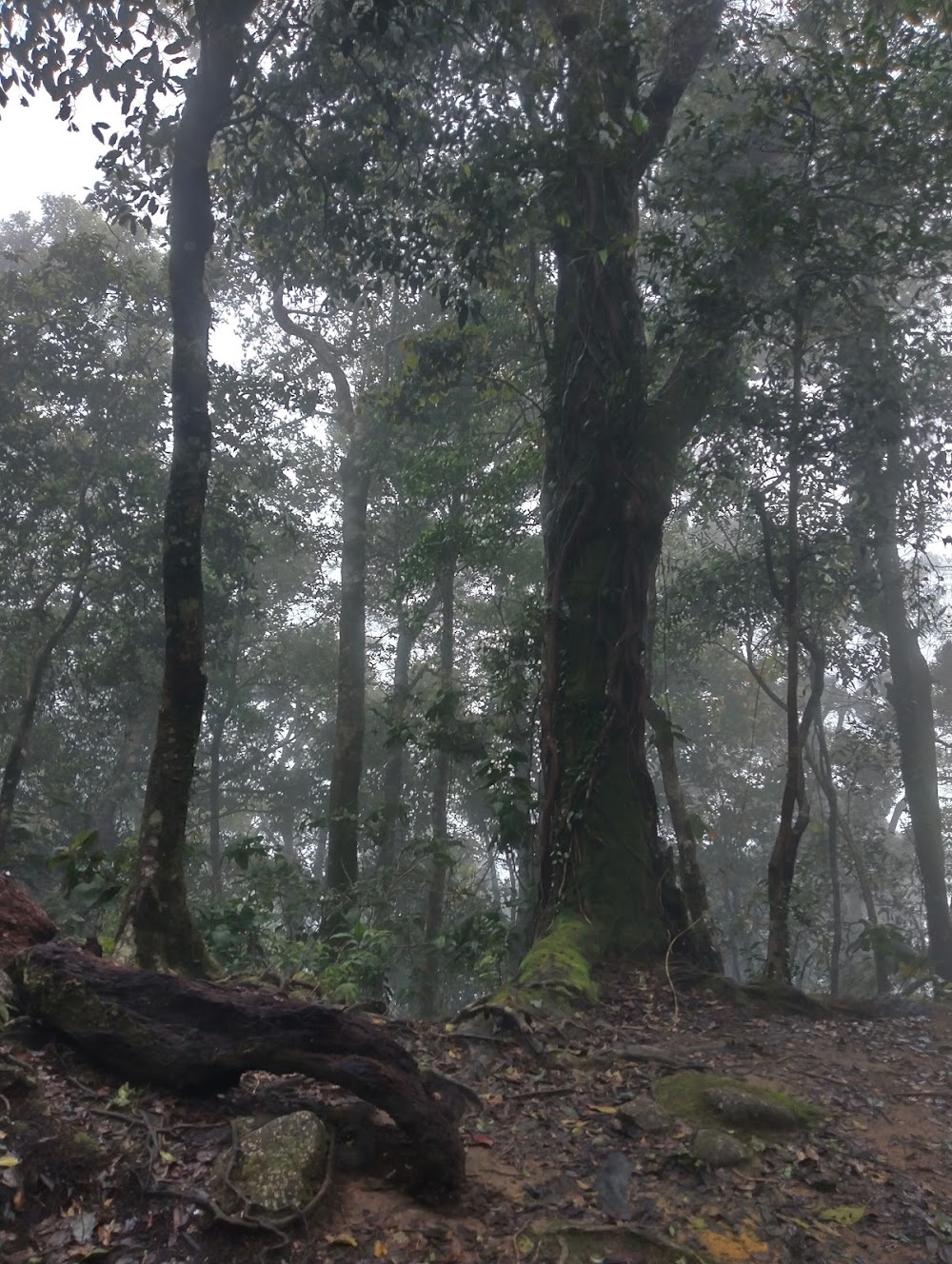 Khao Luang National Park