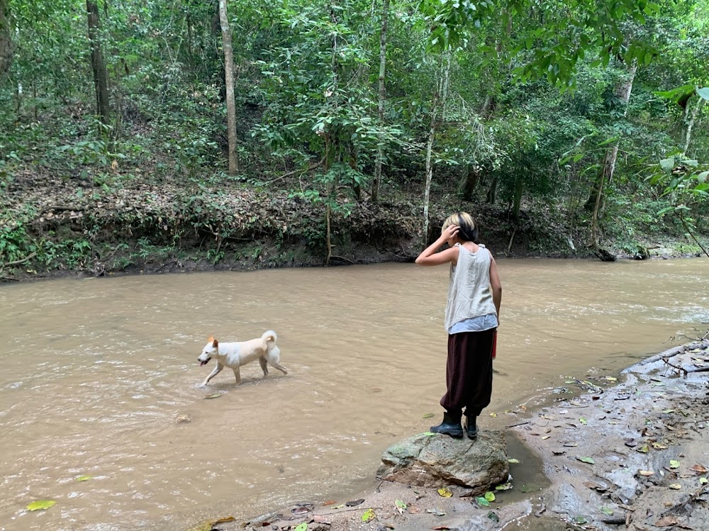 Khun Khan National Park