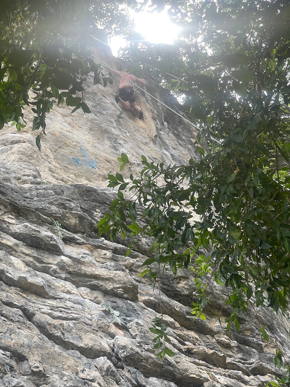 King Climbers