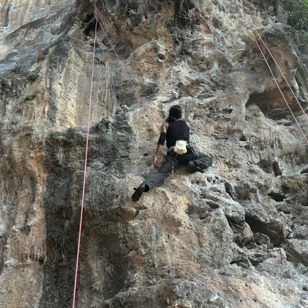 King Climbers
