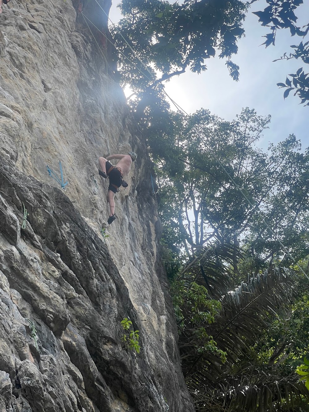 King Climbers