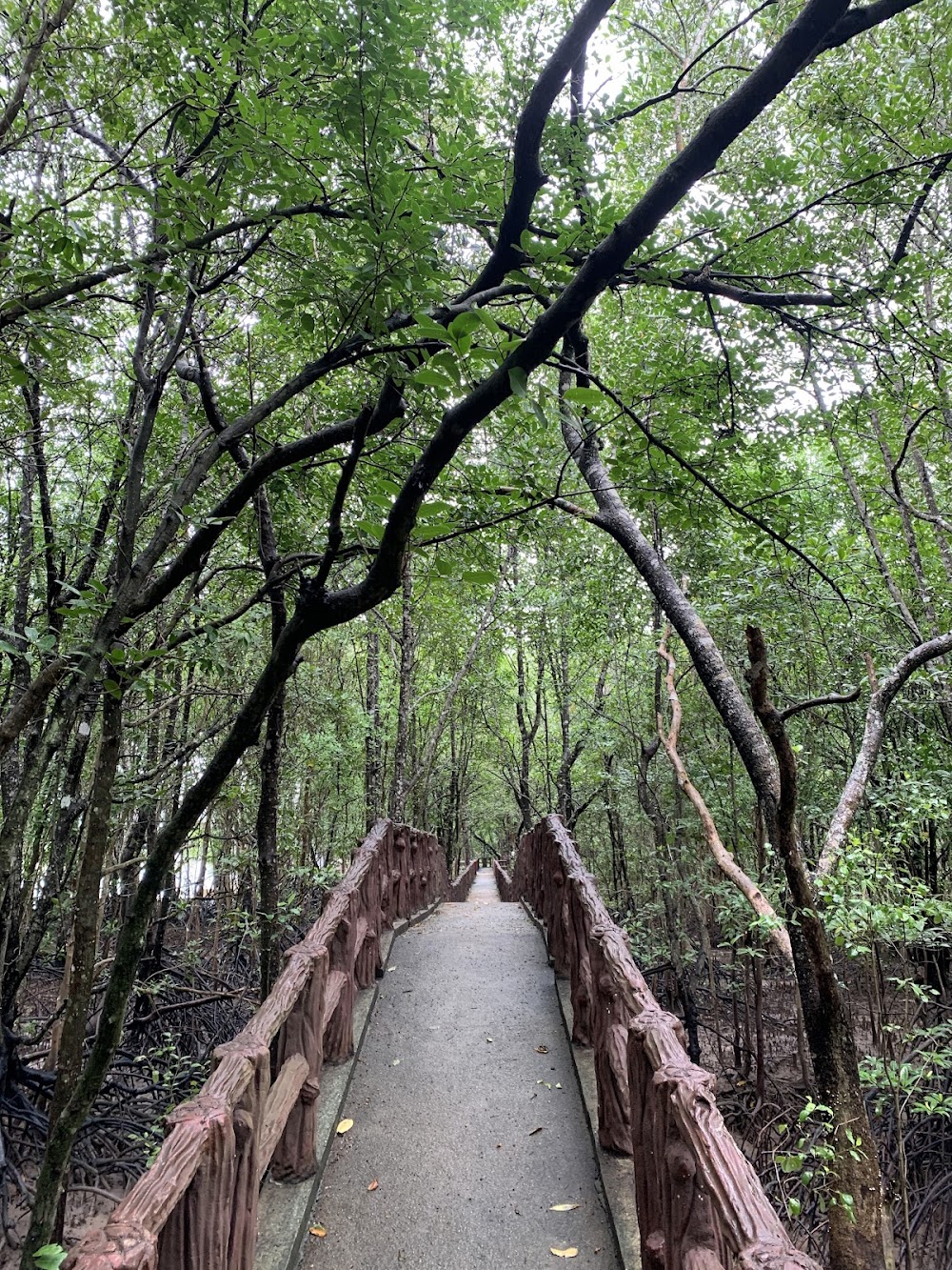 Krabi Urban Forest