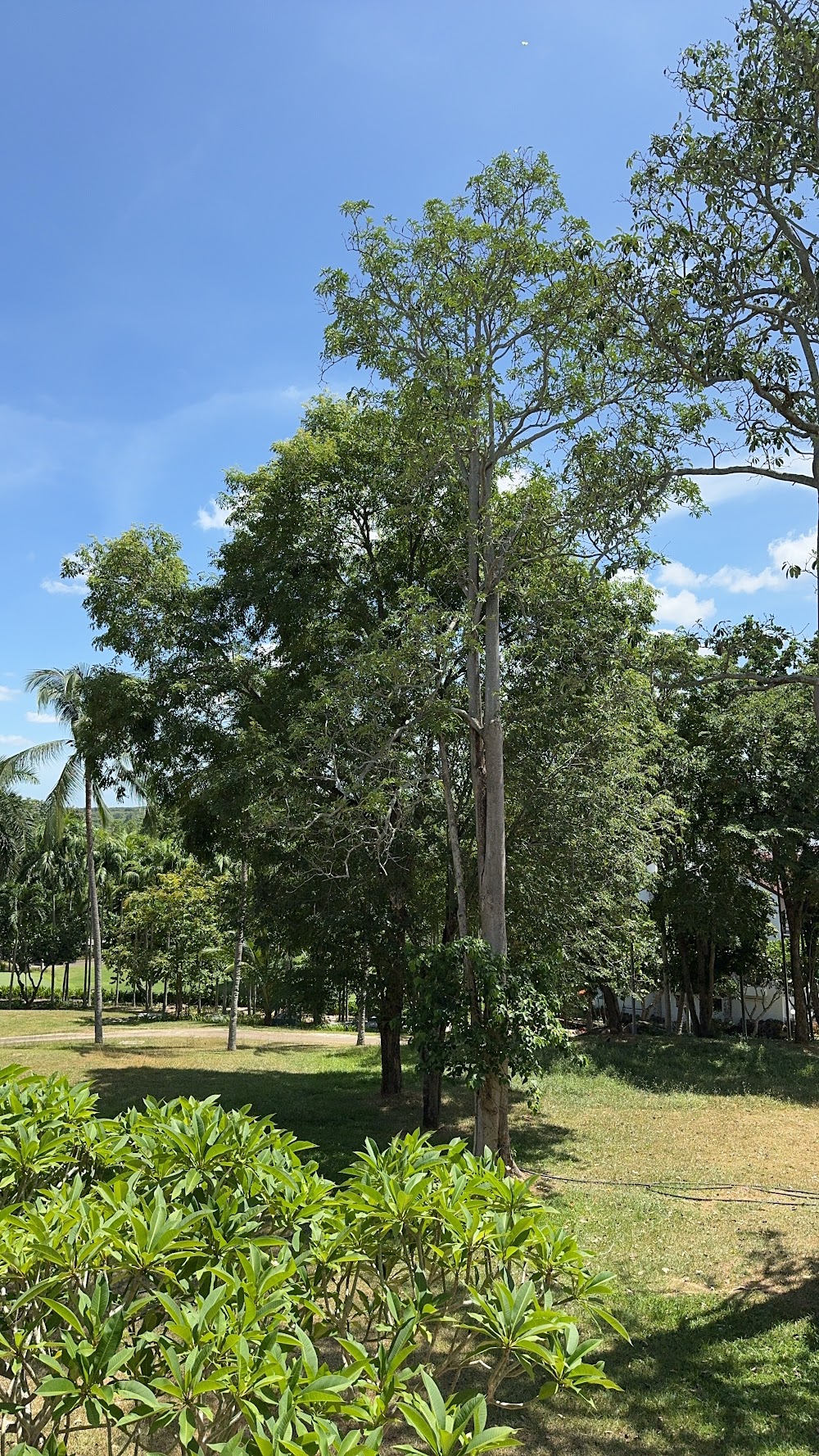 Laem Chabang International Country Club