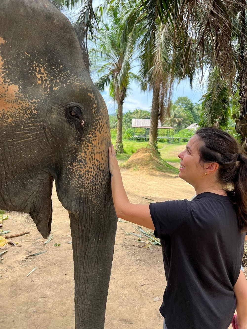 Lanta Elephant Sanctuary