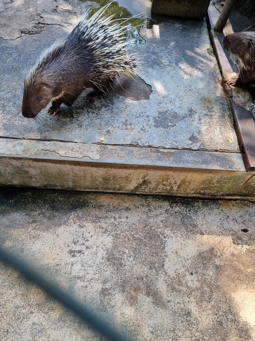 Mae Lao Wildlife Breeding Center
