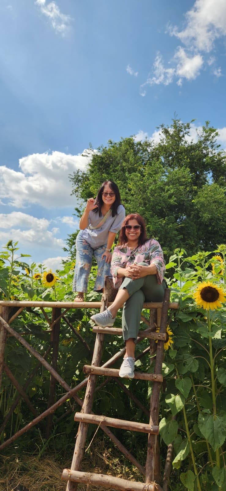 Manee Sorn Sunflower Field