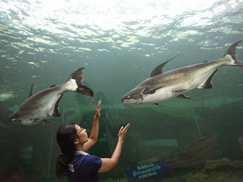 Mekong Underwater World