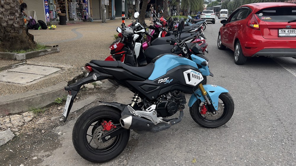 Mr. Kord Car Rental