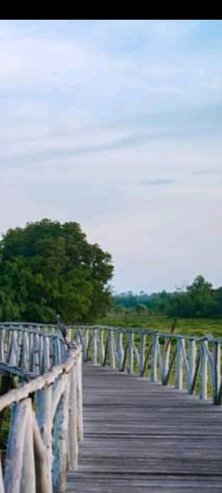 Mu Ko Chumphon National Park