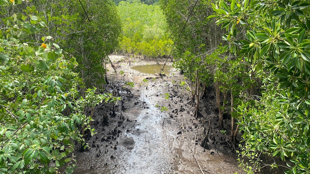 Mu Ko Chumphon National Park