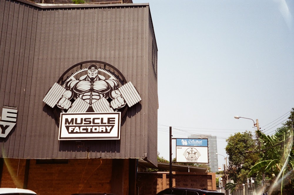 Muscle Factory