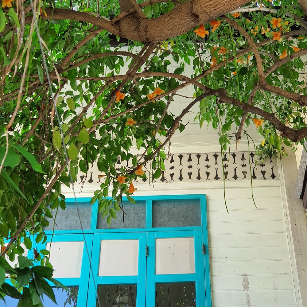 Museum and the Thai Traditional Medical Training Centre